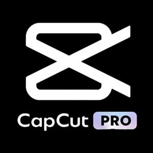 CapCut Pro (12 mėn.)